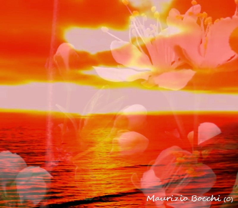 Elab.Grafica_di_Maurizio_Bocchi_2020_HORIZONS_&_FLOWERS_per_CON_LE_UNGHIE_LACCATE_Fotografando_parole Elab.Grafica_di_Maurizio_Bocchi_2020_HORIZONS_&_FLOWERS_per_CON_LE_UNGHIE_LACCATE_Fotografando_parole
